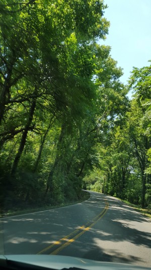 The Countryside